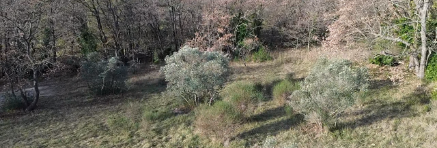 Terrain  1965 m² à vendre à Éguilles (13510)