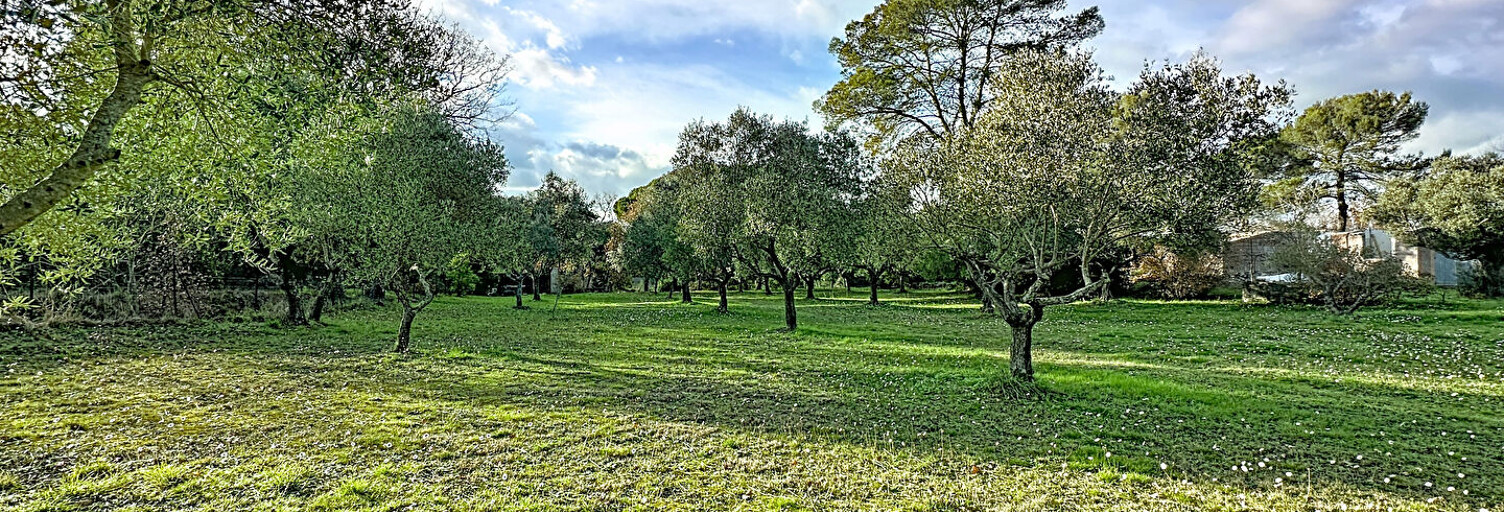 Terrain  5170 m² à vendre à Roquebrune-sur-Argens (83520)