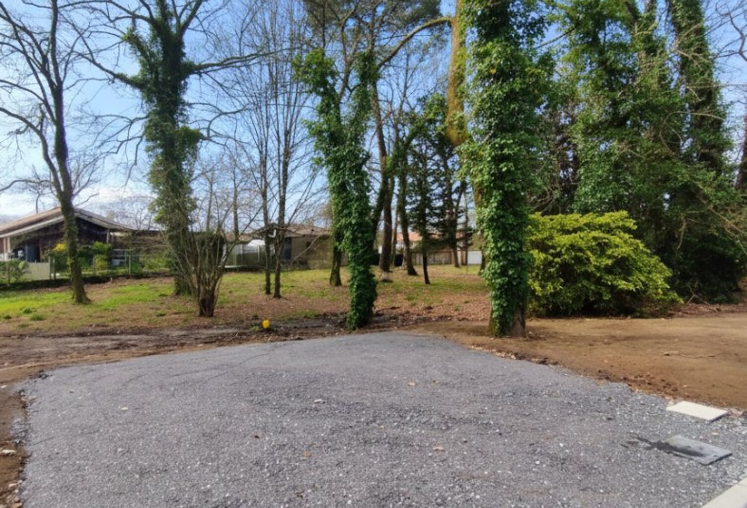 Terrain — photo 1