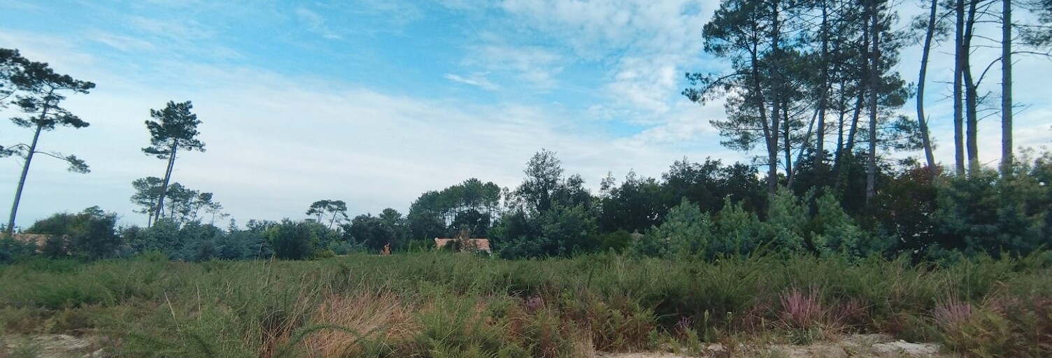 Terrain  1111 m² à vendre à Moliets-et-Maâ (40660)