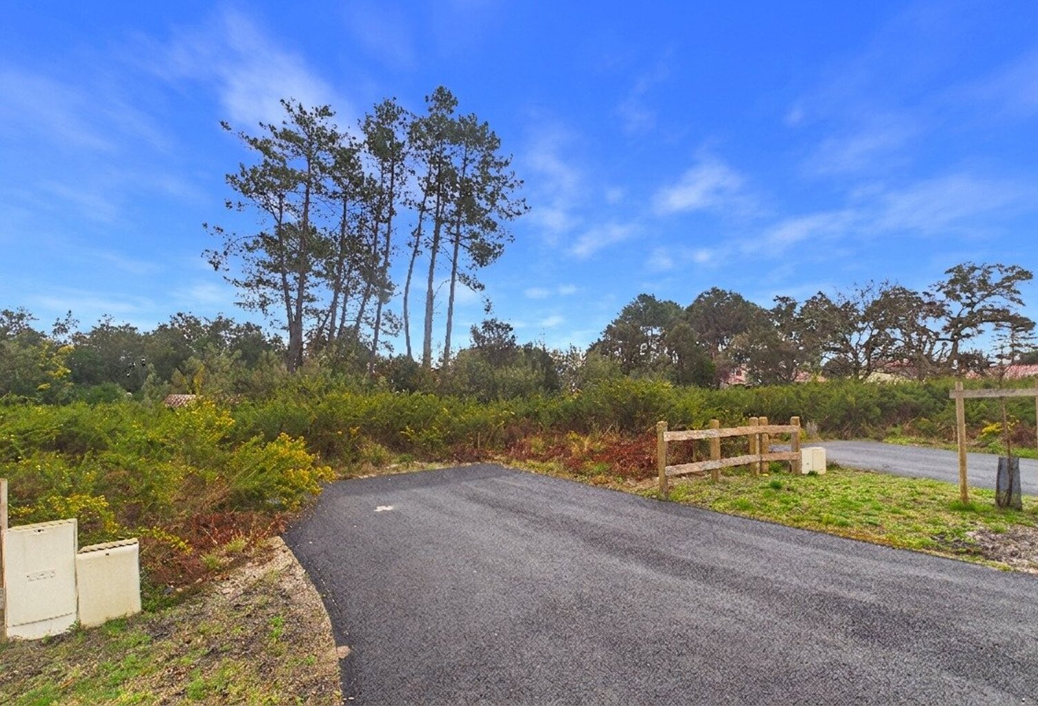 Terrain — photo 1