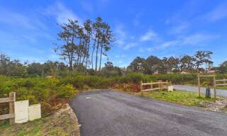 Terrain  1111 m² à vendre à Moliets-et-Maâ (40660)