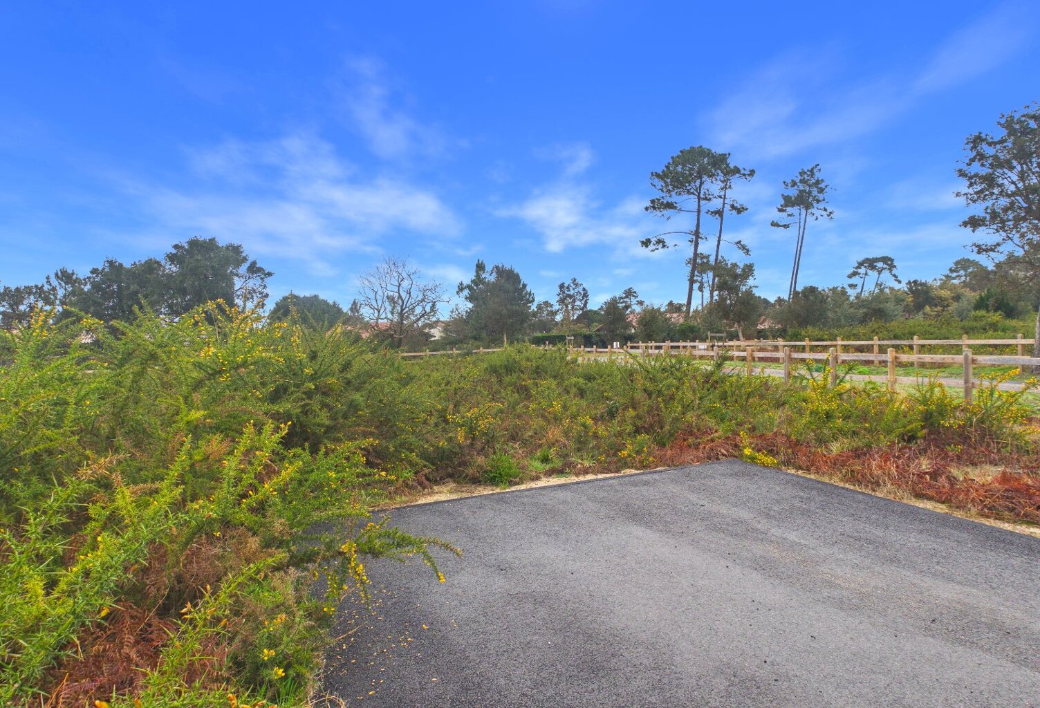 Terrain — photo 1