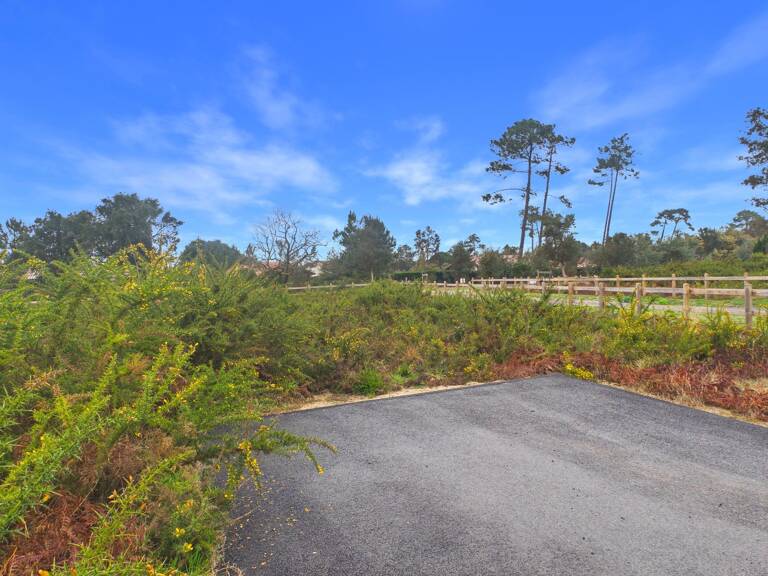 Terrain — photo 1