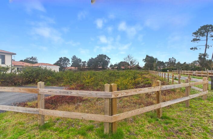 Terrain — photo 2