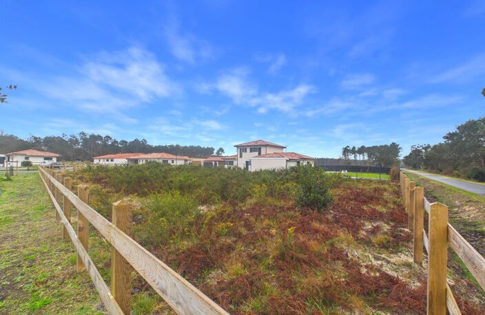 Terrain — photo 3