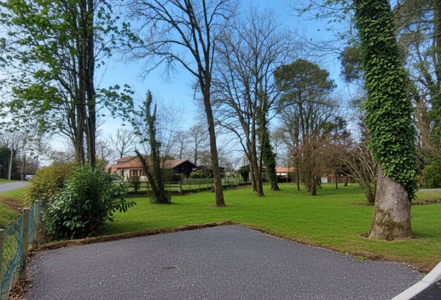 Terrain — photo 1