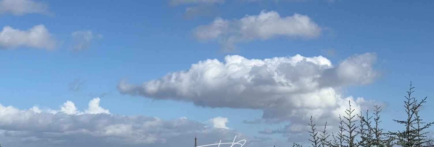 Appartement 3 Pièces 78 m² à vendre à Suresnes (92150)