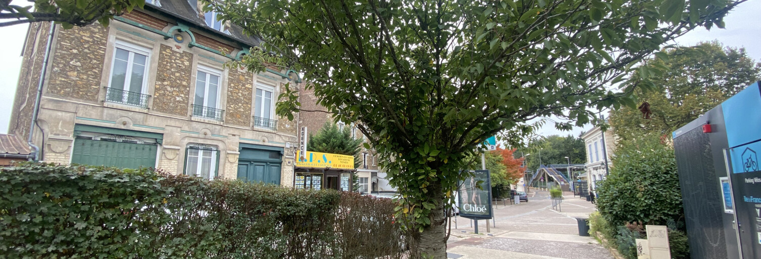 Appartement 1 Pièce 20 m² à vendre à Fontenay-aux-Roses (92260)