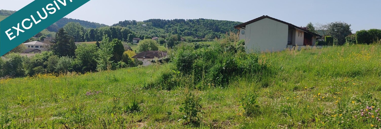 Terrain  606 m² à vendre à Meillonnas (01370)