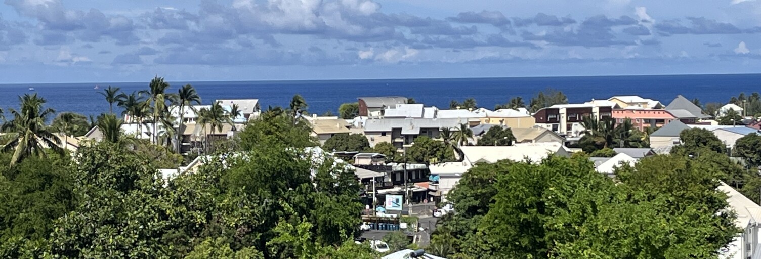 Appartement 2 Pièces 60 m² à vendre à Saint-Paul (97434)