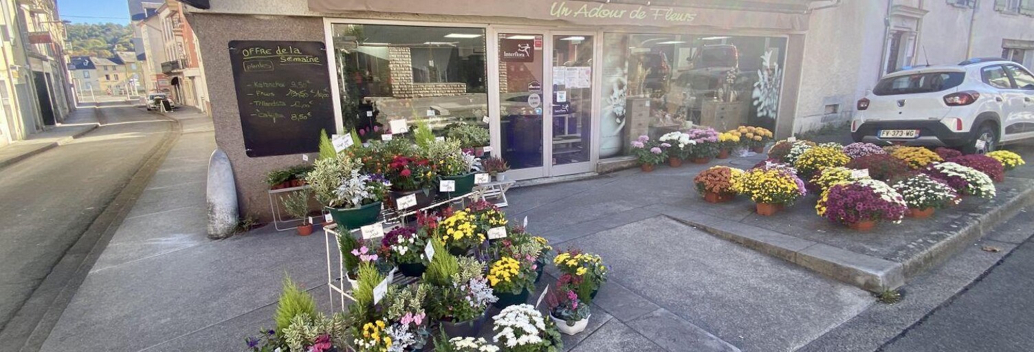 Commerce  136 m² à vendre à Bagnères-de-Bigorre (65200)