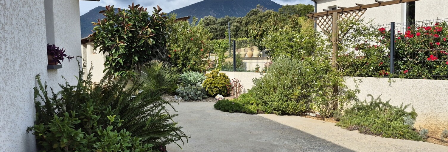 Maison 4 Pièces 123 m² à vendre à Cervione (20221)