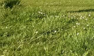 Terrain  616 m² à vendre à Périgueux (24000)