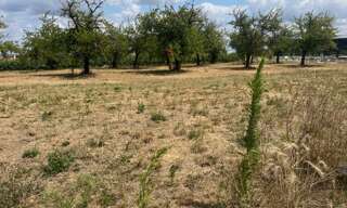 Terrain  620 m² à vendre à Lévignac-de-Guyenne (47120)