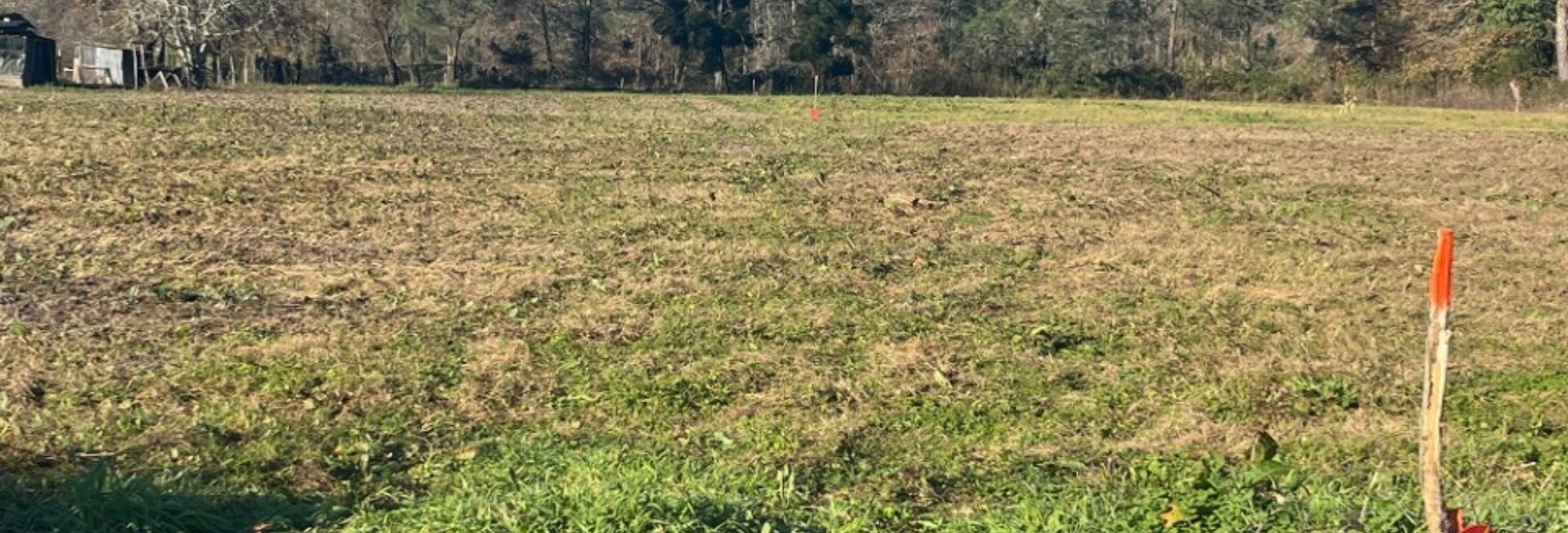 Terrain  1000 m² à vendre à Grignols (33690)