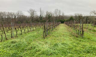 Terrain  1900 m² à vendre à Pineuilh (33220)