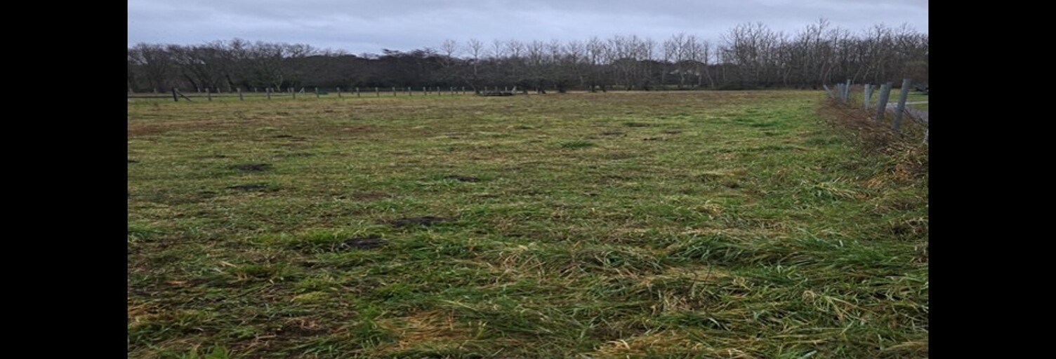 Terrain  2000 m² à vendre à Braud-et-Saint-Louis (33820)