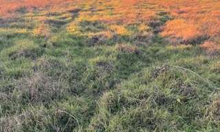 Terrain  1400 m² à vendre à Podensac (33720)