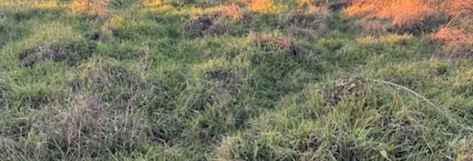 Terrain  1400 m² à vendre à Podensac (33720)