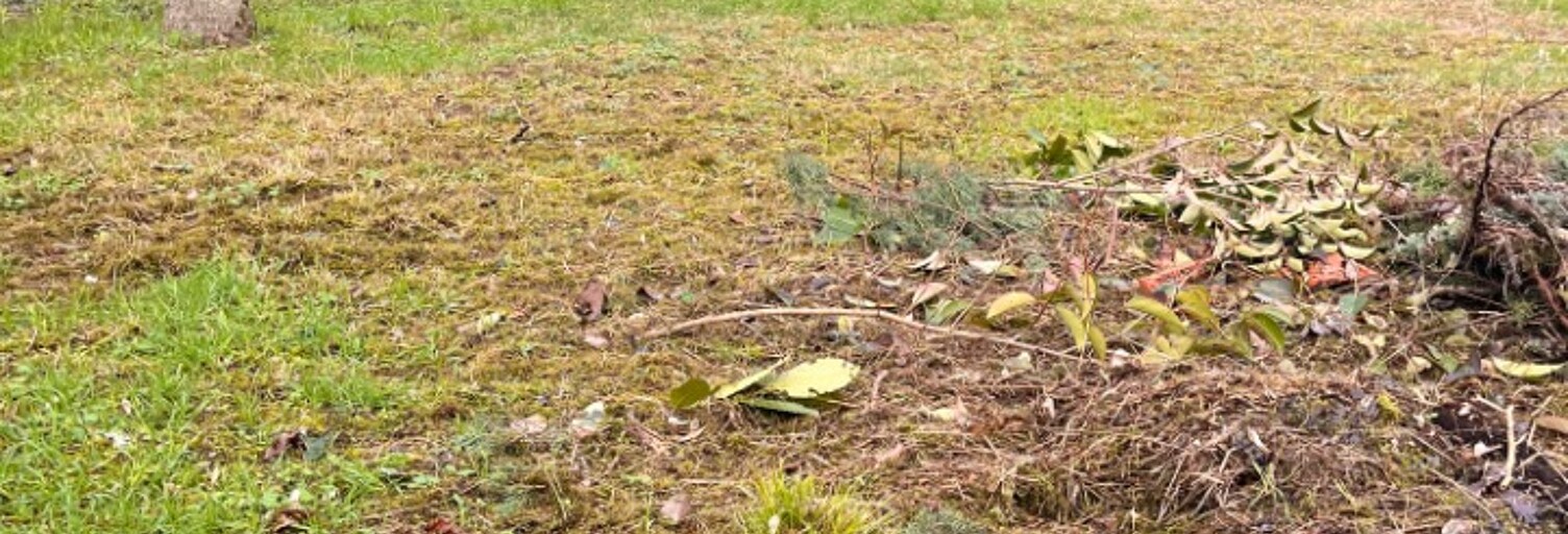 Terrain  470 m² à vendre à Castres-Gironde (33640)