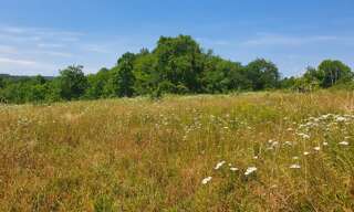 Terrain  700 m² à vendre à Montlieu-la-Garde (17210)