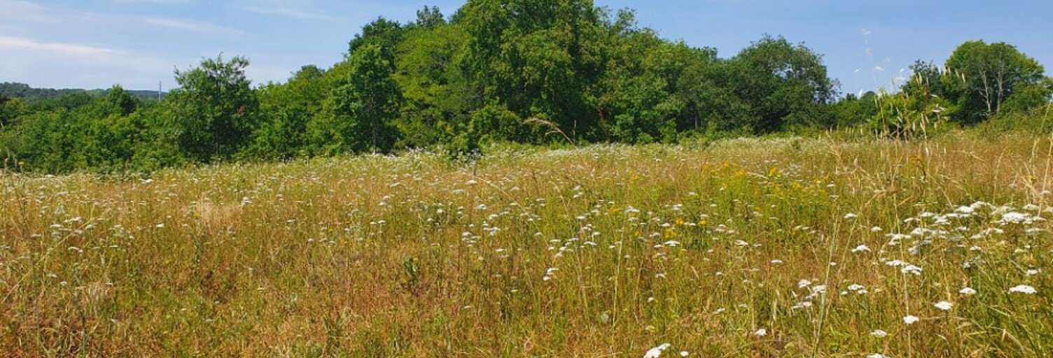 Terrain  700 m² à vendre à Montlieu-la-Garde (17210)