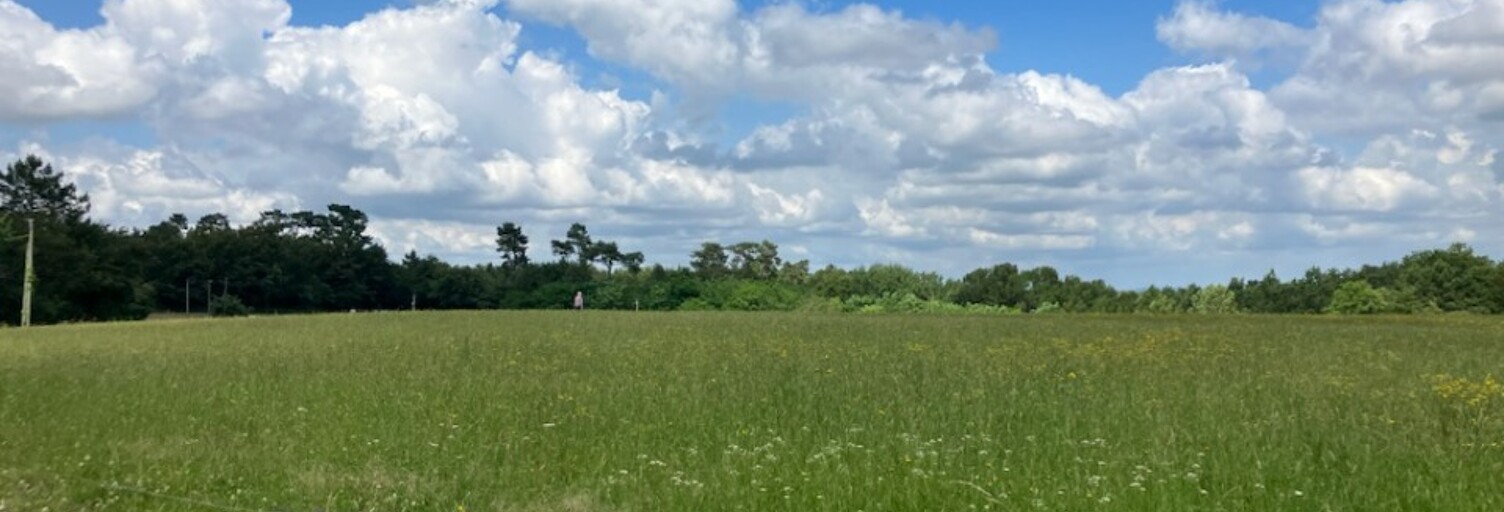 Terrain  700 m² à vendre à Montlieu-la-Garde (17210)