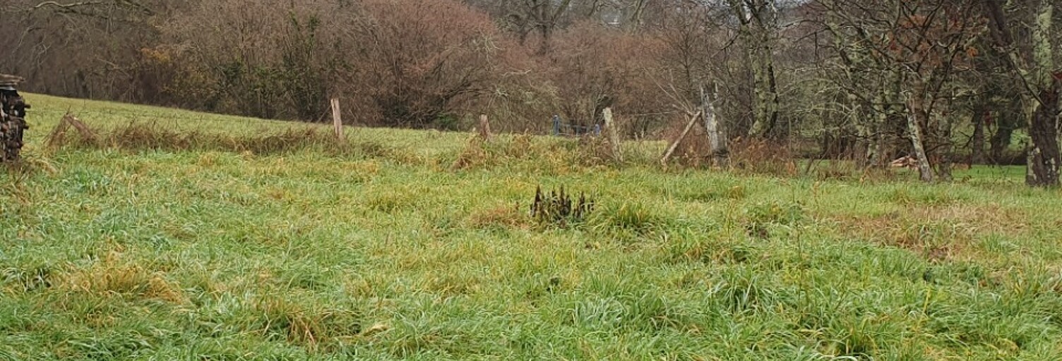 Terrain  794 m² à vendre à Asques (33240)