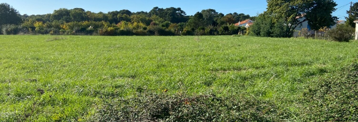 Terrain  590 m² à vendre à Saint-Palais-sur-Mer (17420)