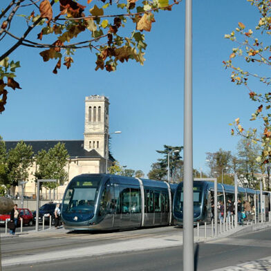 Appartement 1 pièces 590 €