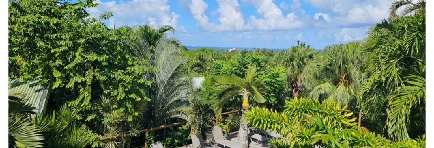 Maison 12 Pièces 241 m² à vendre à Deshaies (97126)