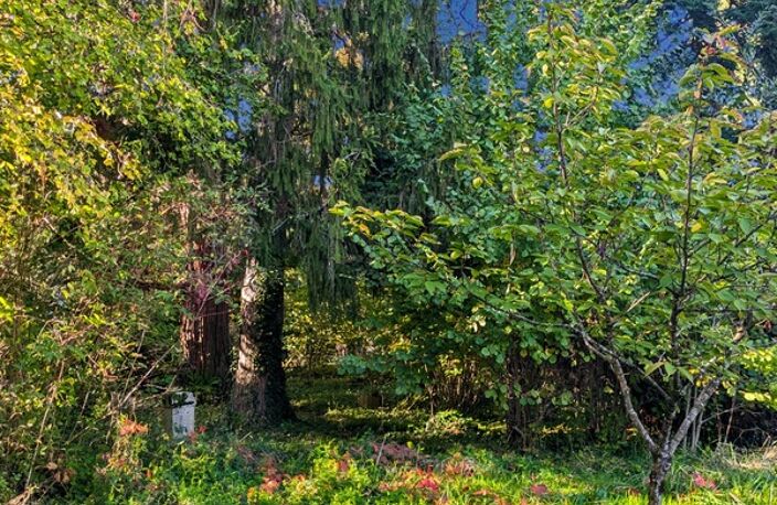 EN EXCLUSIVITE LONS LE SAUNIER (39) MAISON DE VILLE  5 min du centre-ville – Jardin — photo 4