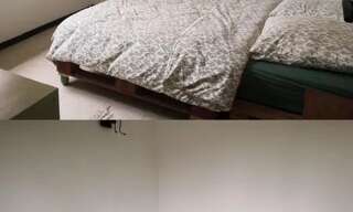 Appartement 2 Pièces 31 m² à louer à Saint-Étienne (42000)