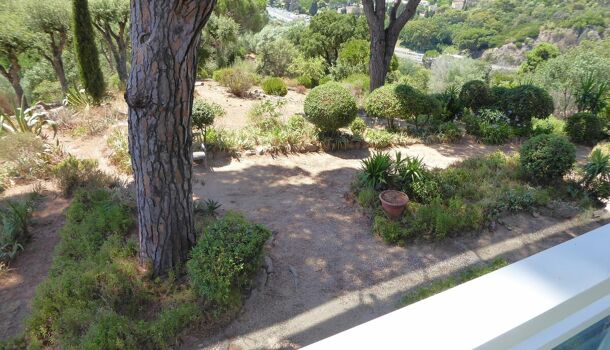 Appartement 4 pièces  à vendre Cannet (Le) 06110