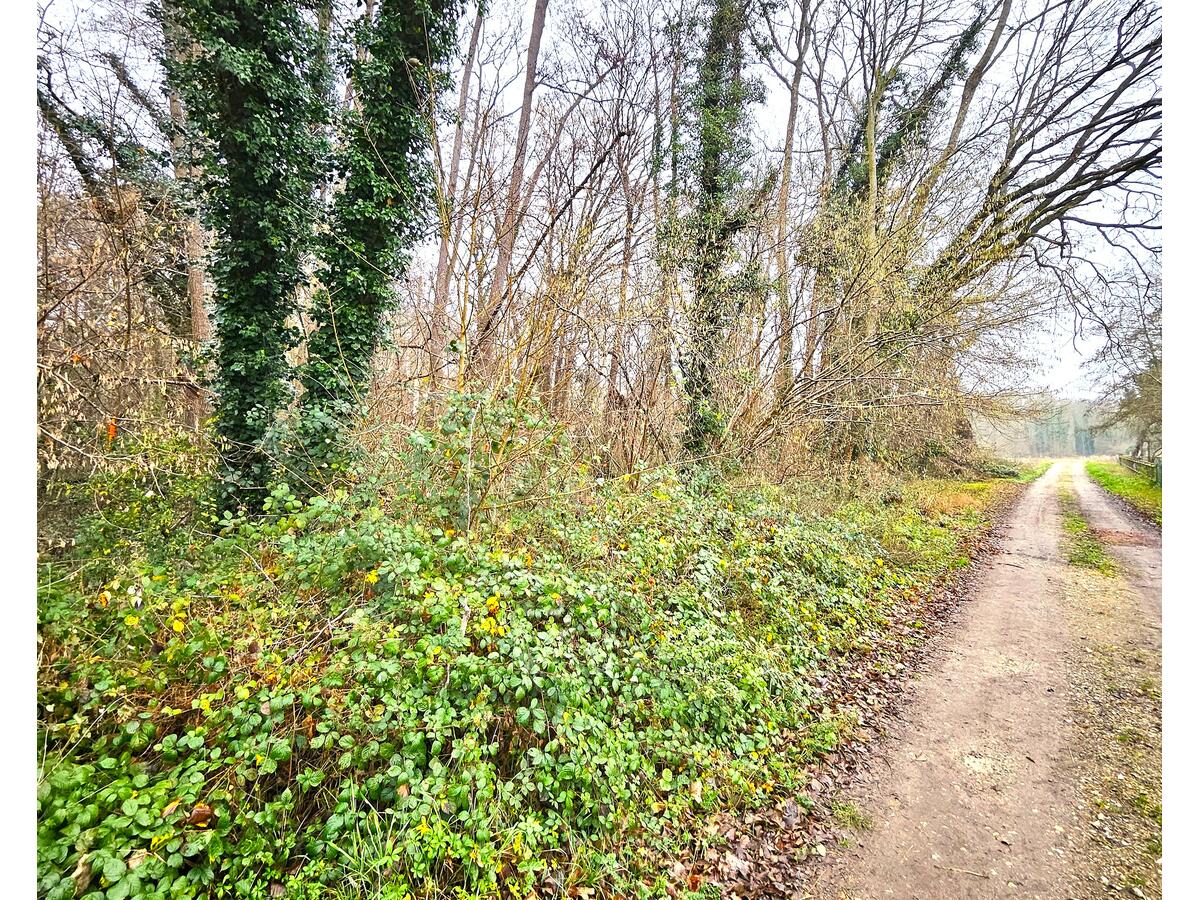 Terrain  à vendre Saint-Georges-Motel 27710