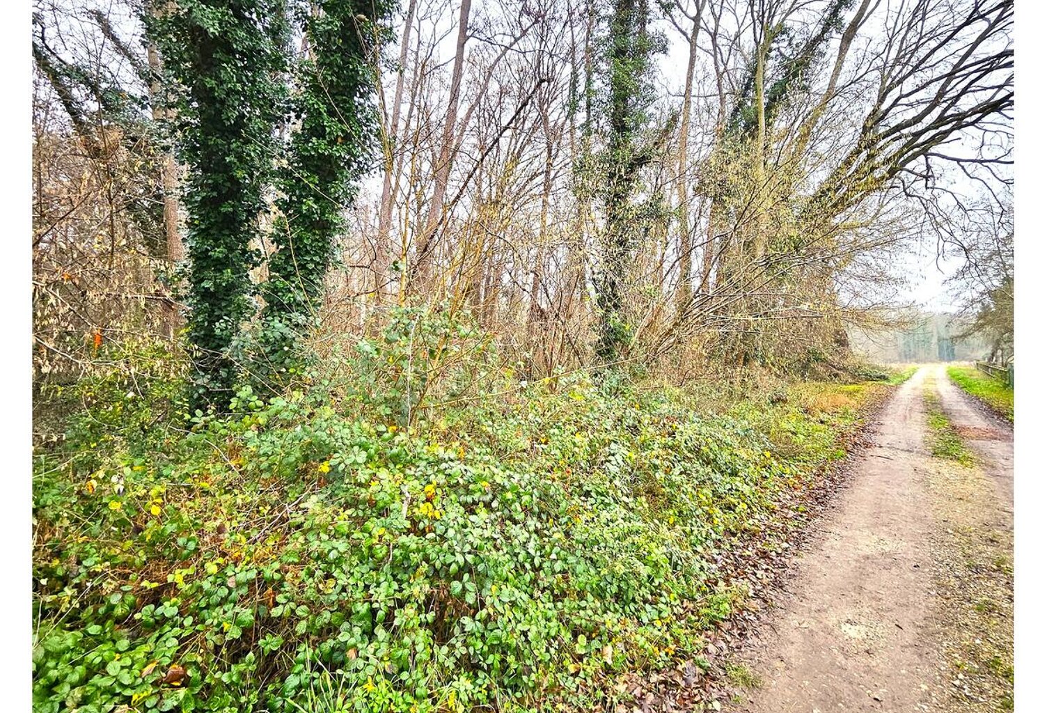 Terrain — photo 1