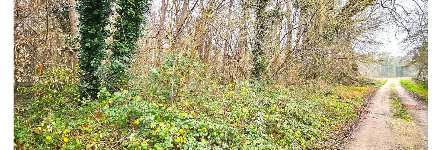 Terrain  4145 m² à vendre à Saint-Georges-Motel (27710)