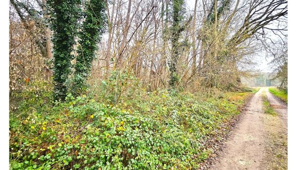 Terrain  à vendre Saint-Georges-Motel 27710