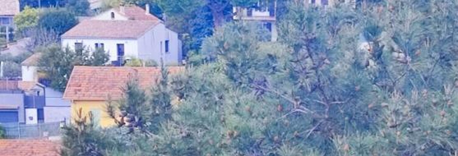 Appartement 3 Pièces 78 m² à vendre à Le Cannet (06110)