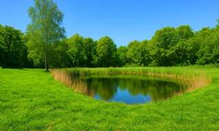 Commerce  4249 m² à vendre à Muret-et-Crouttes (02210)