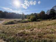 Etang, terrain de loisirs — photo 3
