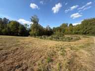 Etang, terrain de loisirs — photo 4