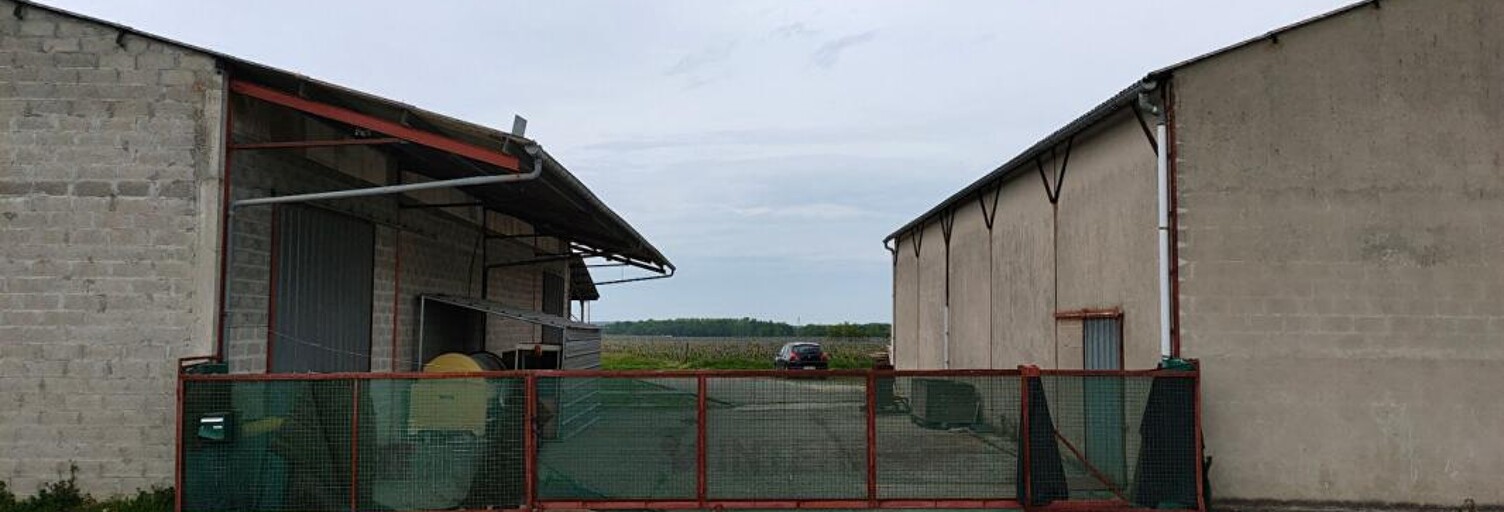 Maison 1 Pièce 1000 m² à vendre à Vayres (33870)