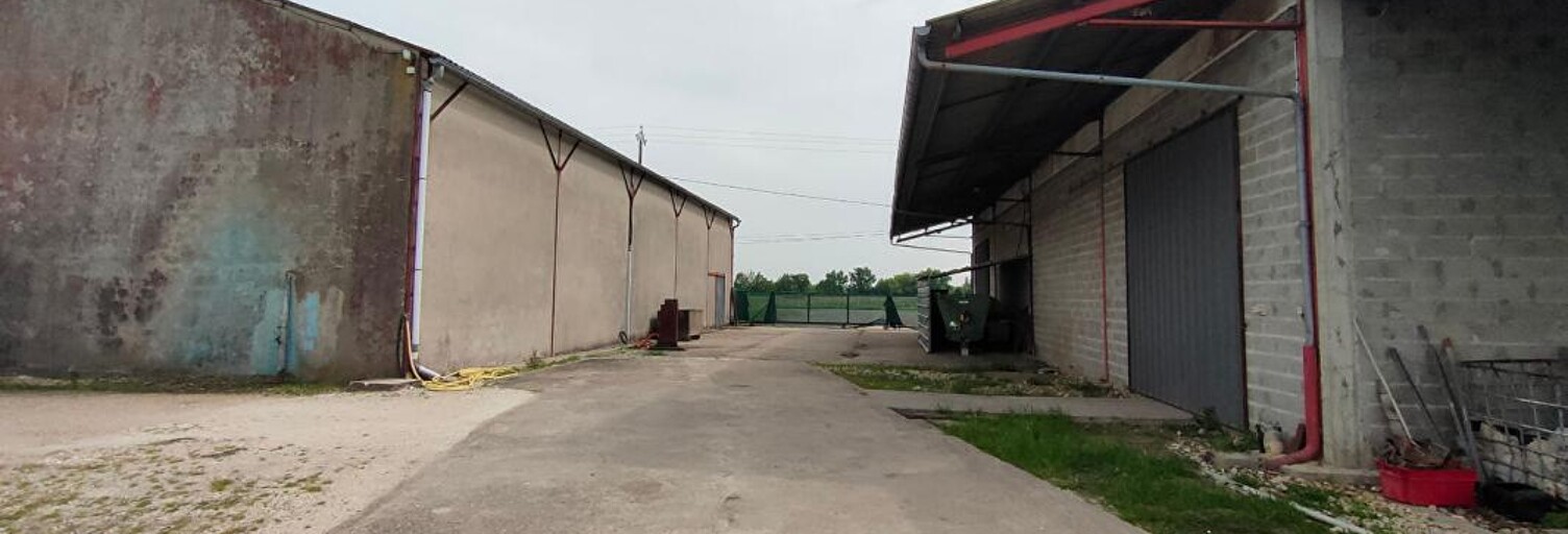 Maison 1 Pièce 1000 m² à vendre à Vayres (33870)