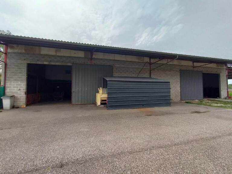 BATIMENT ARTISANAL 450 m² Vayres — photo 1