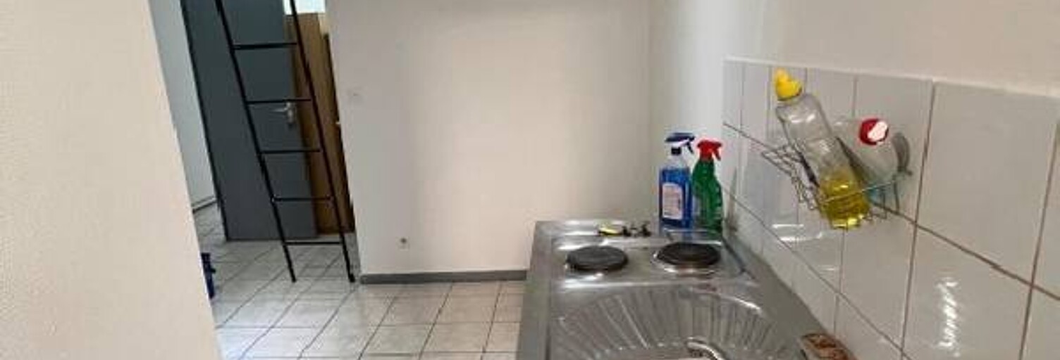 Appartement 1 Pièce 20 m² à louer à Lyon 1 (69001)