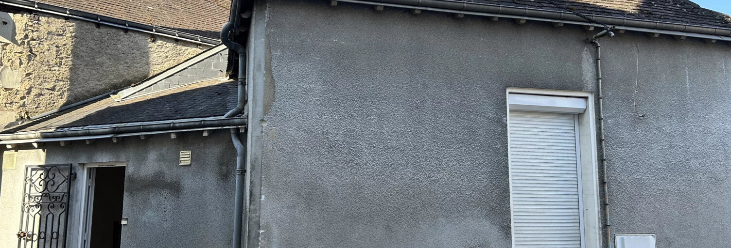 Maison 3 Pièces 50 m² à louer à Tournon-Saint-Martin (36220)