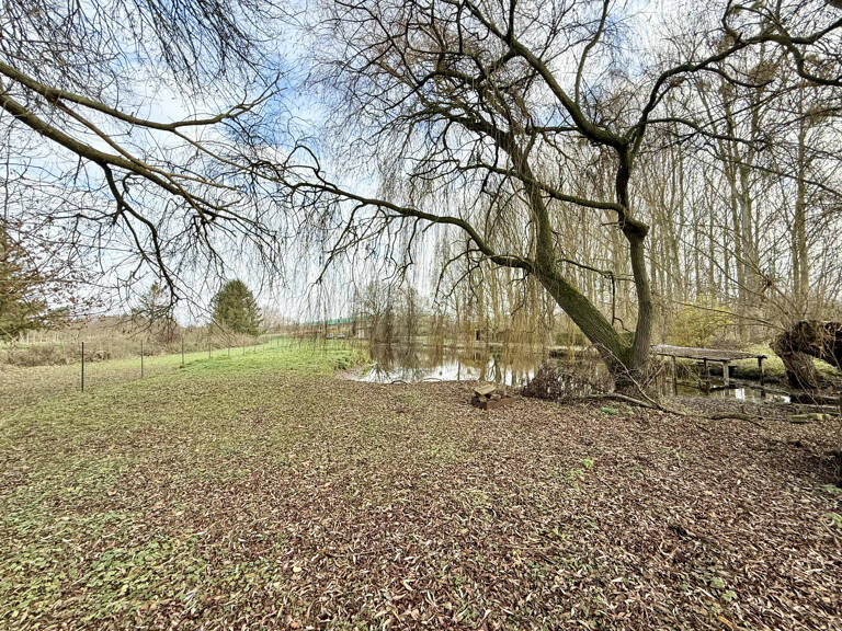 BUNY - ETANG - CHALET - EAU - TERRAIN — photo 1