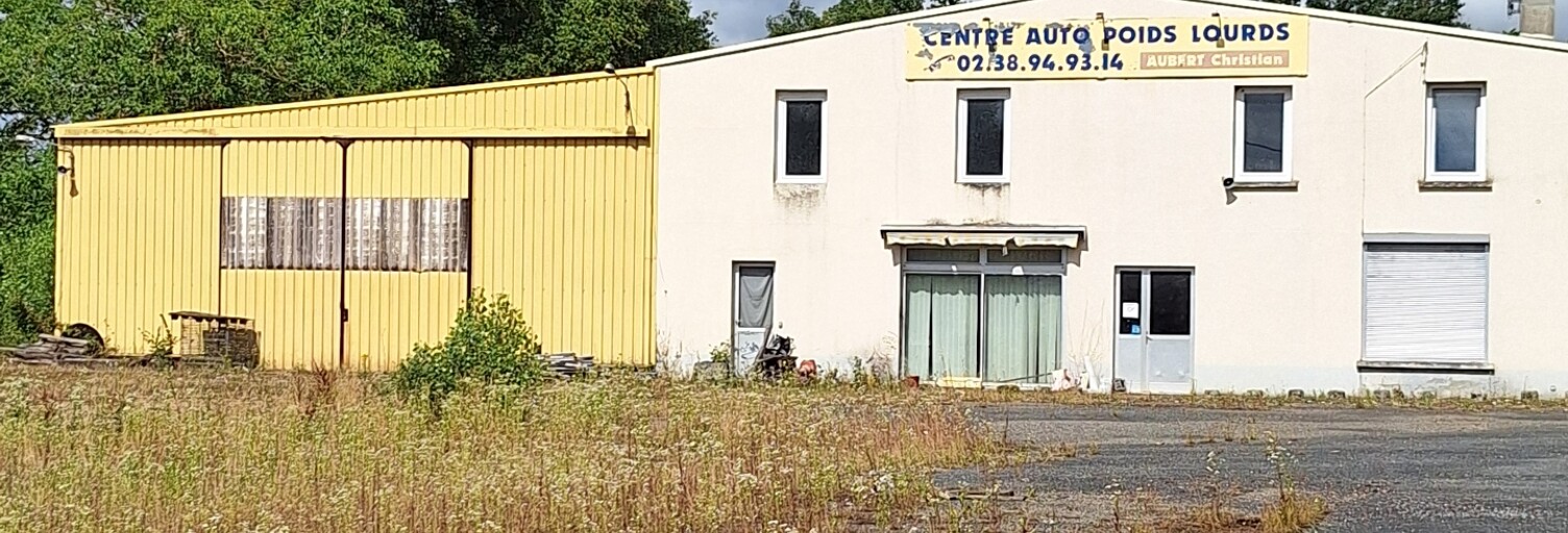 Garage  850 m² à vendre à Pressigny-les-Pins (45290)